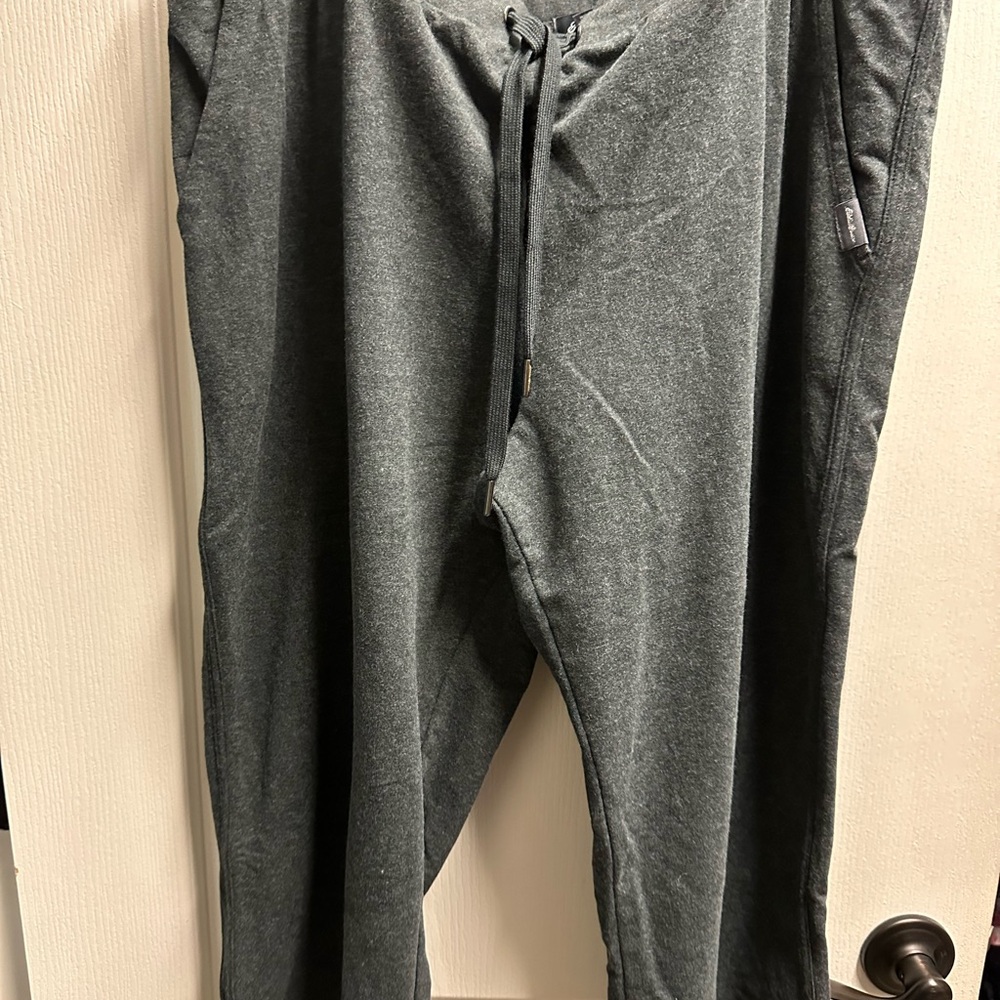 Eddie Bauer Charcoal Jogger capri size XL/ NWOT 300